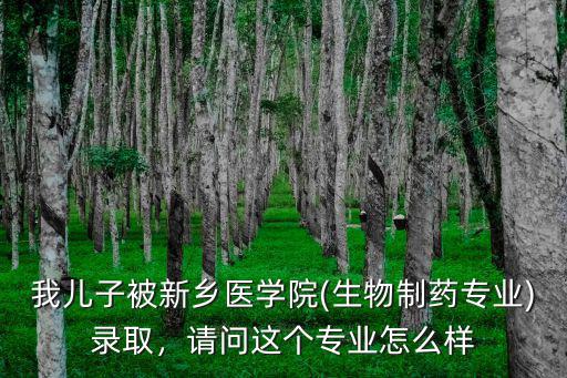 我兒子被新鄉醫學院(生物制藥專業)錄取，請問這個專業怎么樣