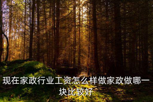現在家政行業工資怎么樣做家政做哪一塊比較好