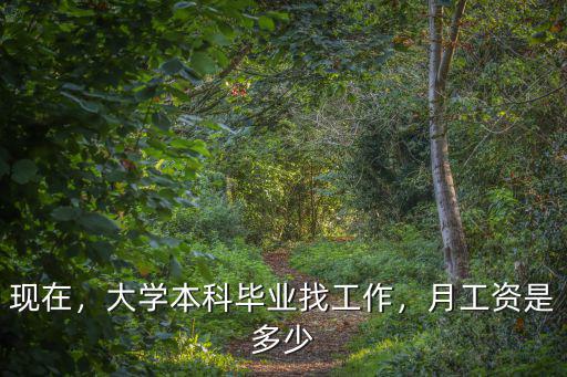 現(xiàn)在，大學(xué)本科畢業(yè)找工作，月工資是多少