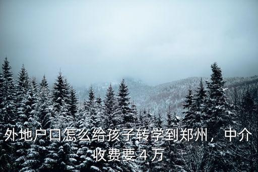外地戶口怎么給孩子轉(zhuǎn)學(xué)到鄭州，中介收費(fèi)要４萬