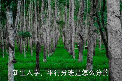 鄭州小學(xué)分班怎么分,平行分班是怎么分的