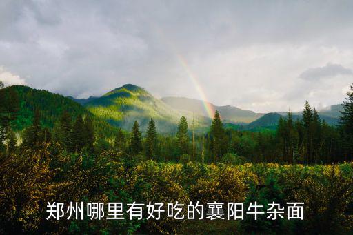 鄭州哪里有好吃的襄陽牛雜面