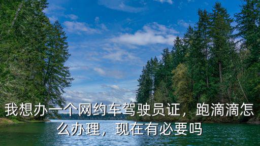 我想辦一個網約車駕駛員證，跑滴滴怎么辦理，現在有必要嗎