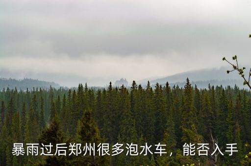 鄭州暴雨怎么叫車,河南鄭州暴雨后