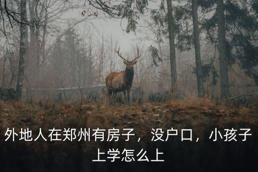 外地人在鄭州有房子，沒戶口，小孩子上學怎么上