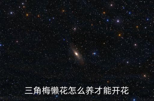河南三角梅怎么養,三角梅萌芽期怎么澆水