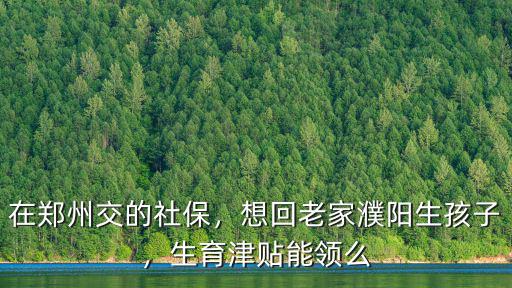 濮陽生育津貼報多少,生育津貼能領么
