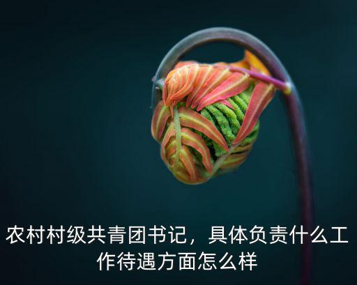 農村村級共青團書記，具體負責什么工作待遇方面怎么樣