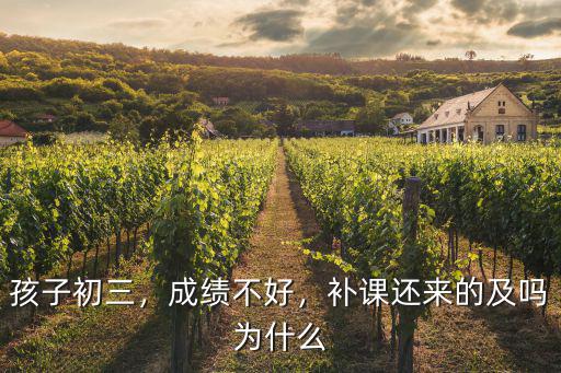 孩子初三，成績(jī)不好，補(bǔ)課還來(lái)的及嗎為什么