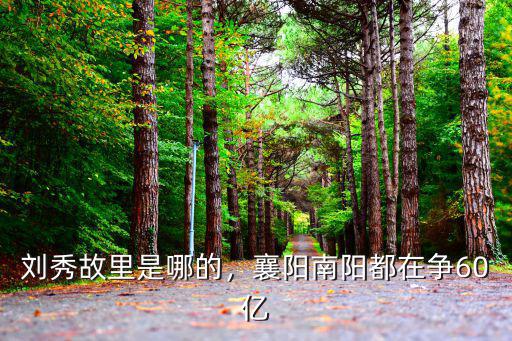 劉秀從哪里去的南陽,劉秀起兵于南陽是正確的嗎