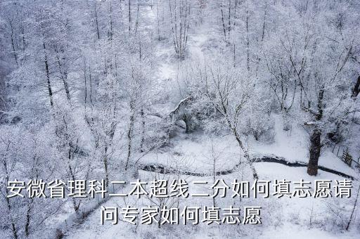 安微省理科二本超線二分如何填志愿請問專家如何填志愿