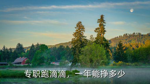 專職跑滴滴，一年能掙多少