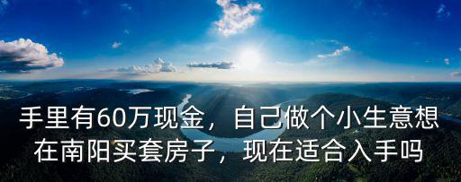 手里有60萬現金，自己做個小生意想在南陽買套房子，現在適合入手嗎