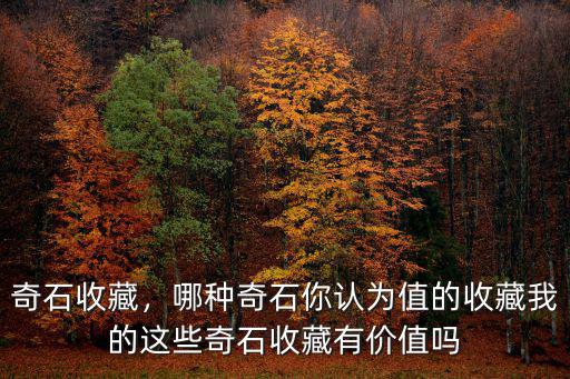 洛陽哪里有收藏奇石,我的這些奇石收藏有價值嗎