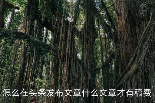 怎么在頭條發布文章什么文章才有稿費