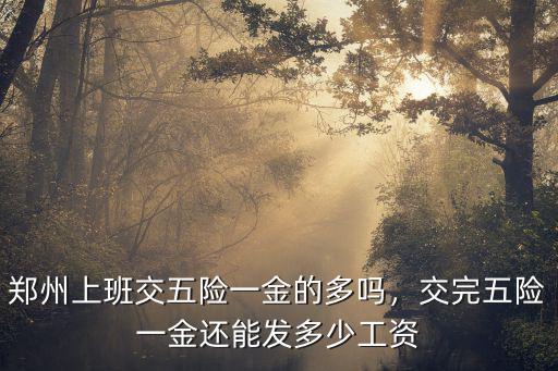 鄭州上班交五險(xiǎn)一金的多嗎，交完五險(xiǎn)一金還能發(fā)多少工資