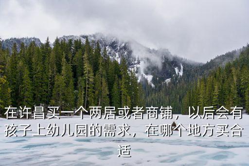 在許昌買一個兩居或者商鋪，以后會有孩子上幼兒園的需求，在哪個地方買合適