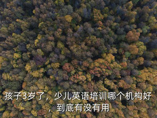 孩子3歲了，少兒英語(yǔ)培訓(xùn)哪個(gè)機(jī)構(gòu)好，到底有沒有用