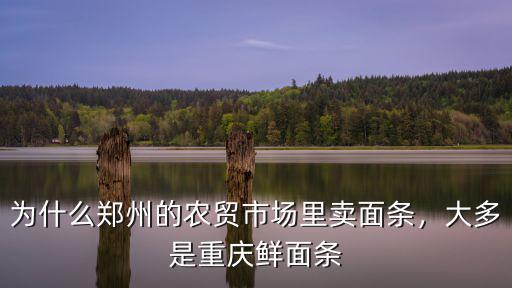 為什么鄭州的農(nóng)貿(mào)市場里賣面條，大多是重慶鮮面條