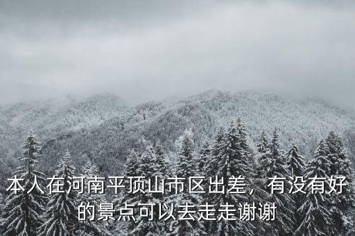 平頂山最大的竹林在哪里,平頂山未來發展機遇在哪里