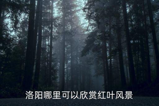 洛陽楓葉網吧在哪里,洛陽有楓葉林嗎
