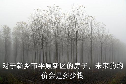 新鄉市的坐標是多少錢,未來的均價會是多少錢