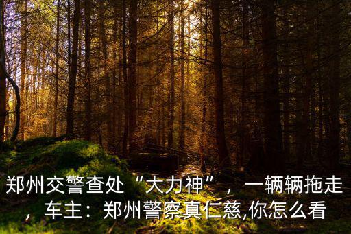 鄭州大力神扣分怎么處理,鄭州交警查處大力神