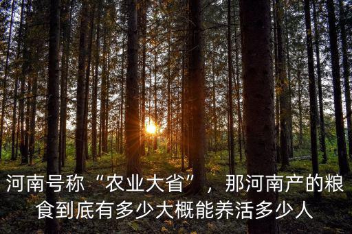 河南號稱“農(nóng)業(yè)大省”，那河南產(chǎn)的糧食到底有多少大概能養(yǎng)活多少人
