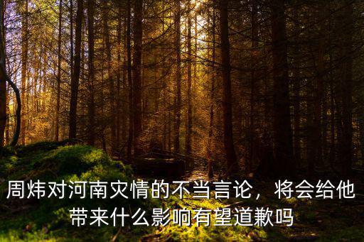 周煒對河南災情的不當言論，將會給他帶來什么影響有望道歉嗎