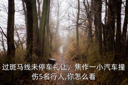 禮讓行人焦作哪里有,機動車禮讓行人