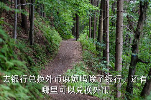 去銀行兌換外幣麻煩嗎除了銀行，還有哪里可以兌換外幣