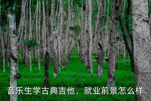 安陽(yáng)哪里有學(xué)古典吉他,古典吉他好學(xué)嗎