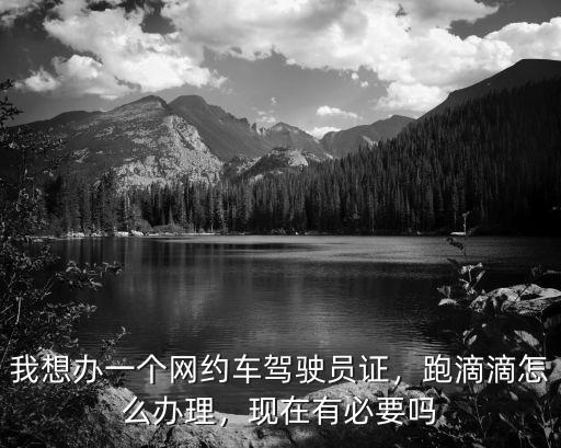 河南滴滴司機怎么辦證,跑滴滴怎么辦理