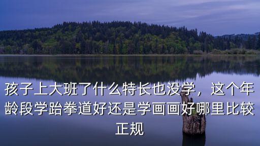 孩子上大班了什么特長也沒學，這個年齡段學跆拳道好還是學畫畫好哪里比較正規