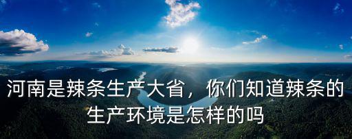 河南哪里有做辣條的,正規(guī)的辣條是怎么做成的