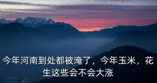 河南怎么突然被淹了,今年河南到處都被淹了
