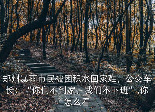 鄭州暴雨市民應該怎么做,鄭州暴雨市民被困積水回家難