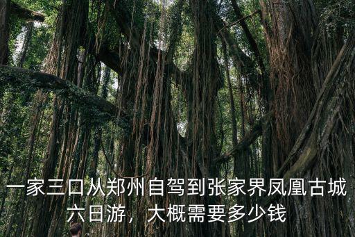 一家三口從鄭州自駕到張家界鳳凰古城六日游，大概需要多少錢