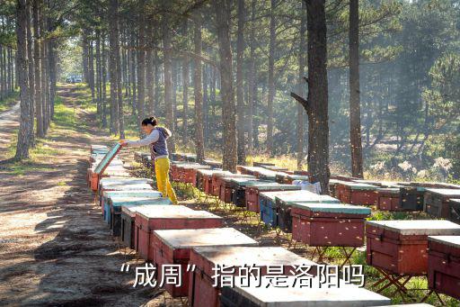“成周”指的是洛陽嗎