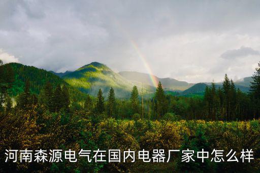 河南森源電氣在國內電器廠家中怎么樣