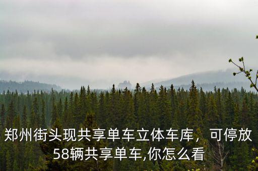 鄭州共享單車怎么那么輕,鄭州街頭現共享單車立體車庫