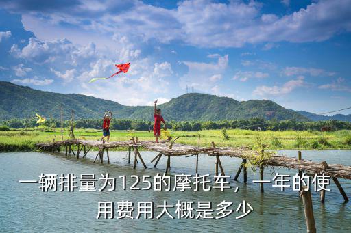 一輛排量為125的摩托車，一年的使用費用大概是多少