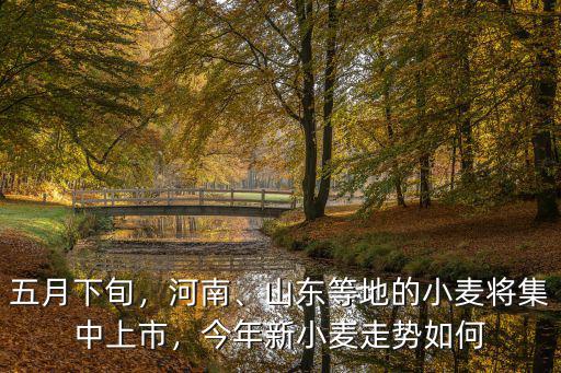 五月下旬，河南、山東等地的小麥將集中上市，今年新小麥走勢如何
