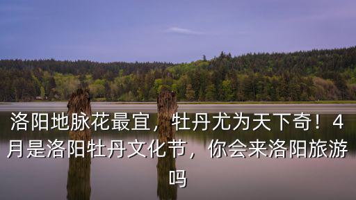 洛陽(yáng)牡丹怎么醒花,4月是洛陽(yáng)牡丹文化節(jié)