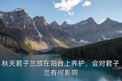 南陽臺怎么擺君子蘭,會對君子蘭有何影響