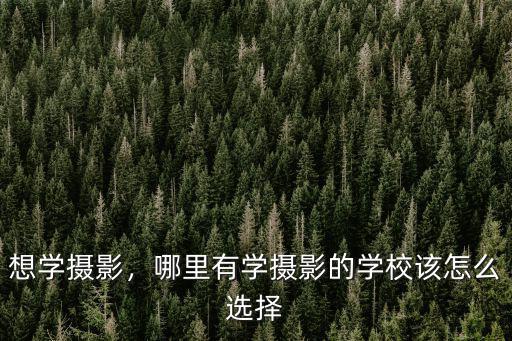 想學攝影，哪里有學攝影的學校該怎么選擇