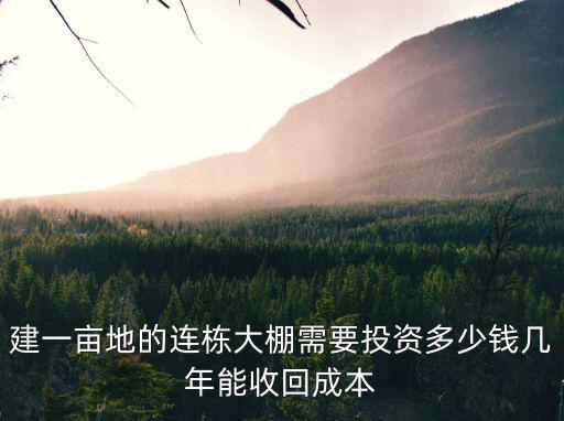 周口農業連棟大棚多少錢,建大棚大概需要投資多少錢
