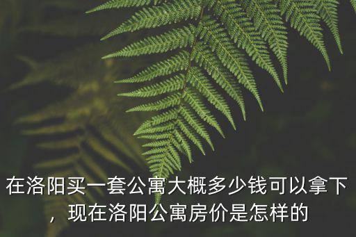 在洛陽買一套公寓大概多少錢可以拿下，現在洛陽公寓房價是怎樣的