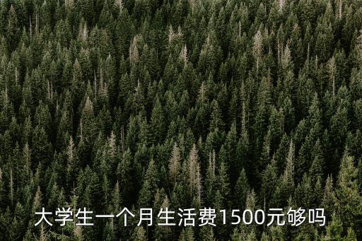 大學生一個月生活費1500元夠嗎