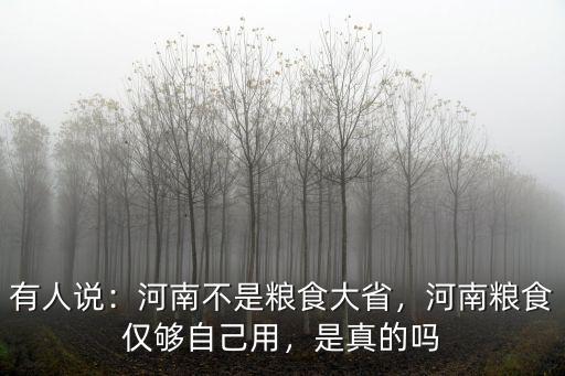 有人說：河南不是糧食大省，河南糧食僅夠自己用，是真的嗎